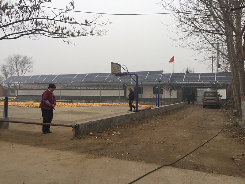 Zhuqiao Shijia 101KW